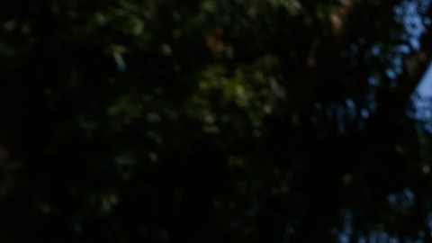Fabiola Argueta de 18 años muestra el sticker que le dieron tras emitir su voto. / foto: Aurelia Ventura.