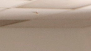 10/25/18 / LOS ANGELES/Richard Lucero, Senior Staff Attorney, discusses CHIRLAÕs new office in Downtown Los Angeles. (Aurelia Ventura/La Opinion)