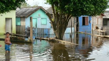 Hay más inundaciones extremas en el río Amazonas.