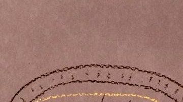 El accidente parecía haber eliminado el inglés del cerebro de Hannah.