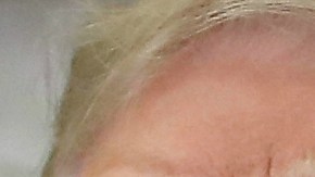 Trump había prometido un millón de dólares si Warren se hacía el examen de DNA