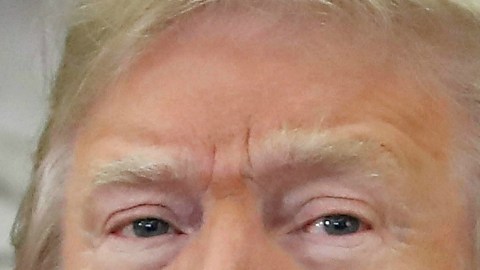 Trump había prometido un millón de dólares si Warren se hacía el examen de DNA