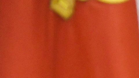 El pastor Andrew Brunson (i) ora por el presidente  Donald J. Trump (d).