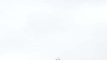 Cerca de 250 familias, separadas por motivos migratorios, pudieron abrazarse.