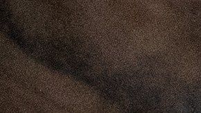 Rosana Guernica rescató a cientos de pacientes vulnerables en Puerto Rico en 2017.