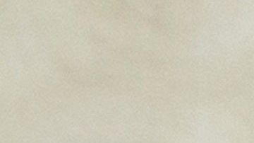 Nikki Haley desafía oficialmente a Donald Trump.