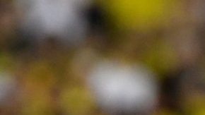 El colombiano James Rodríguez festeja su golazo ante EE.UU. (Foto: EFE/Gerardo Mora)