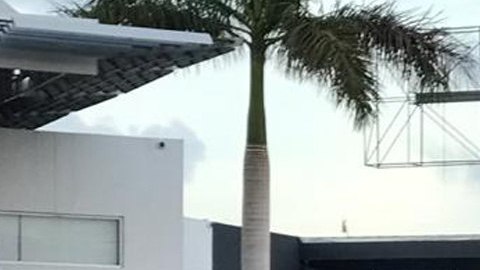 La tormenta tropical Sergio se encuentra sobre Baja California Sur y genera potencial de precipitaciones de muy fuertes a intensas en varios estados del norte de México.