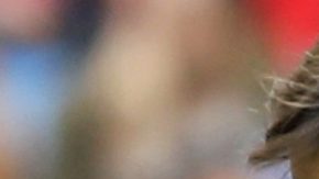 El entrenador del Real Madrid Julen Lopetegui, está en la cuerda floja. (Foto: EFE/Rodrigo Jiménez)