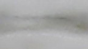 Dos niños hondureños a punto de ahogarse antes que los salvara un balsero en el río Suchíate,