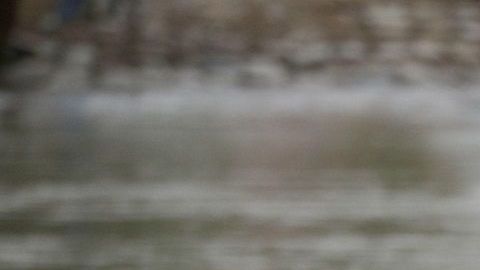 La secretaria Nielsen pidió reforzar las leyes migratorias.