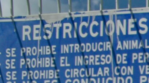 Migrantes