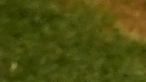 Eduardo Núñez conecta su jonrón letal de tres carreras.