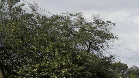 Se estima que alrededor de 7,000 personas siguen su ruta hacia EEUU.