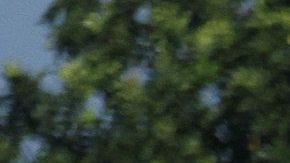 La caravana continúa su paso hacia EEUU.