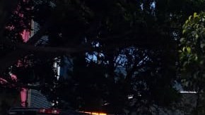 En ladrón quedó sobre una de las importantes avenidas de la capital mexicana.