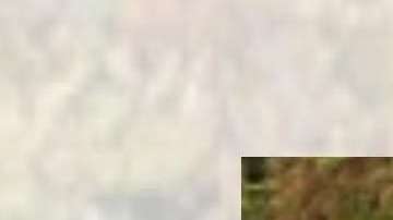 El percance ocurrió el sábado en la tarde.