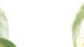 Rodolfo Palomo tardará hasta un año en recuperarse, pero tendrá secuelas