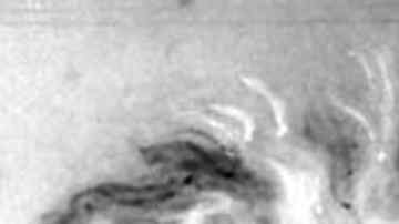 Einstein, en enero de 1939.