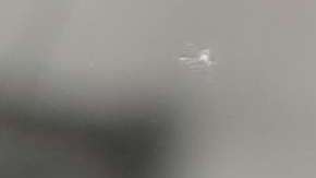 Los líderes tuvieron un diálogo telefónico.