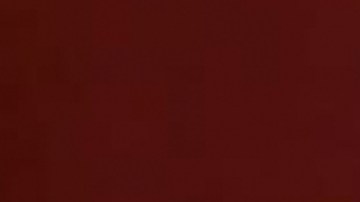 Angelique Boyer y Michel Brown protagonizan "Amar a Muerte"