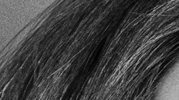 Lady Gaga protagoniza "A Star Is Born" y Tom Hardy protagoniza "Venom"