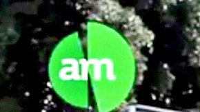 Violencia en Guanajuato.