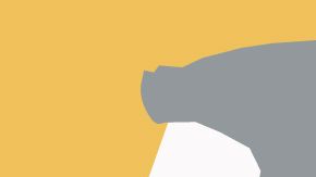 Brasileños entre dos candidatos.