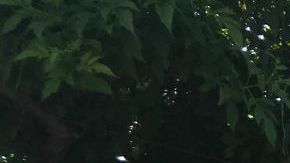 Migrantes descansan antes de emprender su caminata hacia la Ciudad de México.