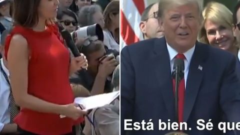 Donald Trump insultó a Cecilia Vega.