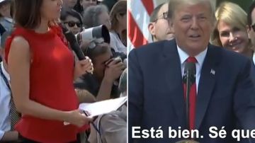 Donald Trump insultó a Cecilia Vega.