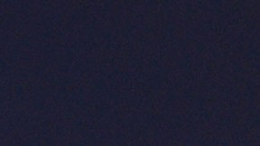 Dakota Johnson y Chris Martin