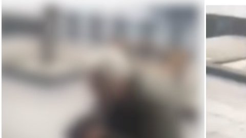 Perro llorar al reencontrarse con su dueño