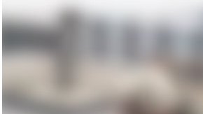 Perro llorar al reencontrarse con su dueño