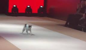 Desfile de la semana de la moda de Estambul.