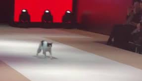 Desfile de la semana de la moda de Estambul.