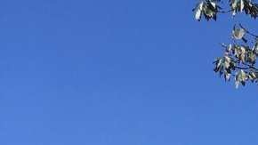 La explosión dañó el techo y las paredes de la vivienda.