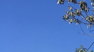 La explosión dañó el techo y las paredes de la vivienda.