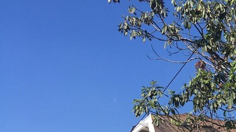 La explosión dañó el techo y las paredes de la vivienda.