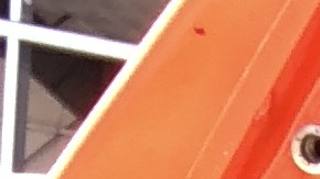 Juan José Valdez estuvo detenido de abril a mayo en el Centro de Detención de Adelanto. (foto suministrada)