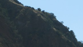 Freeways de California / Flickr