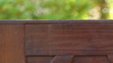 Jennifer Love Hewitt