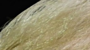 Luego de meses de arremeter contra Sessions públicamente Trump estaría listo a despedirlo