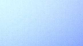 Ivanka habría violado la ley