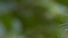 La confirmación del juez Kavanaugh se ha complicado.