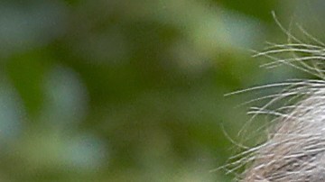 La confirmación del juez Kavanaugh se ha complicado.