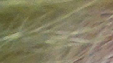 El error tipográfico ha despertado todo tipo de burlas