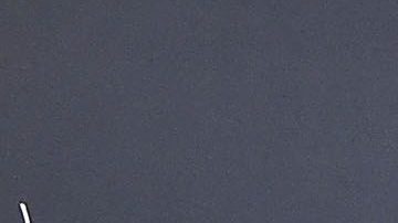 Zoe Kravitz junto a su padre Lenny Kravitz.