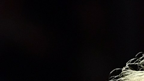 Por su parte Trump dijo que a las mujeres les  va genial