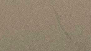 Donald Trump, el pesidente de los Estados Unidos